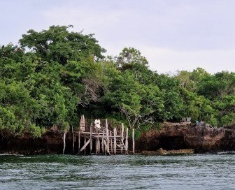 Blue Monkey Cottages（住宿餐饮 / 休闲设施）-非行家旅行-Africa Wild Wander
