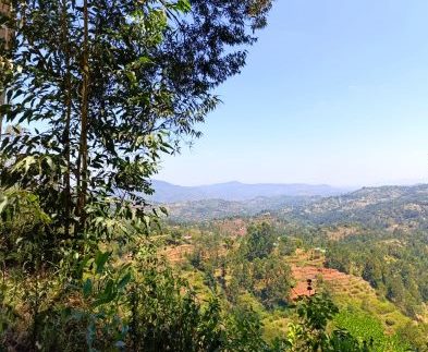 Ilovoto Falls(山地 / 岩石 / 瀑布 / 观景点)-非行家旅行-Africa Wild Wander