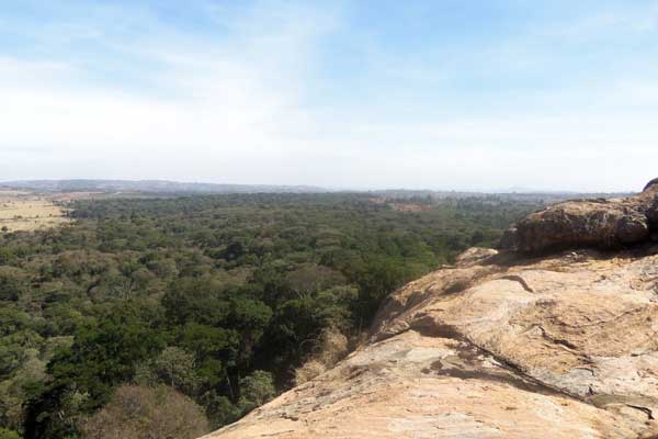 Kenya's Forests（水系 / 湖泊 / 海岸）-非行家旅行-Africa Wild Wander