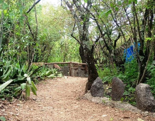Kipsigis Oasis Sanctuary（历史遗产 / 博物馆）-非行家旅行-Africa Wild Wander