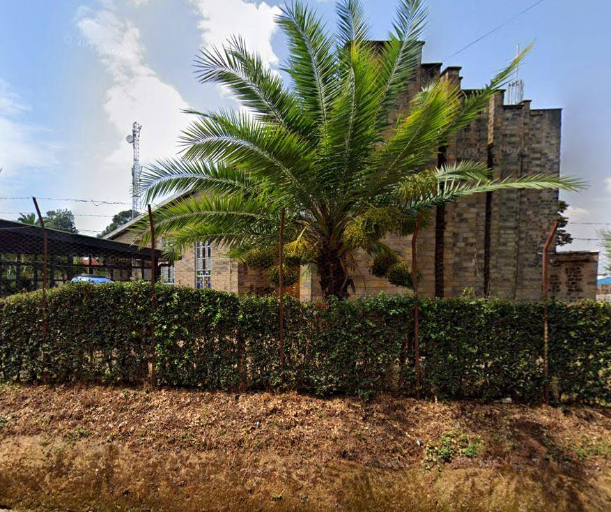 A.I.C Kericho Town（县域目的地）-非行家旅行-Africa Wild Wander