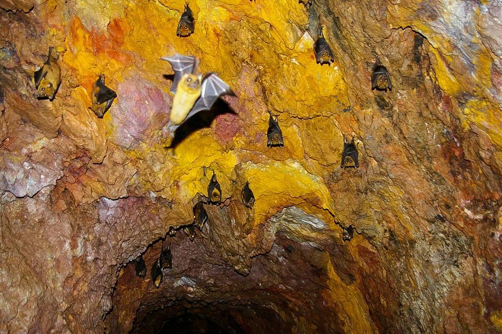 Lirhanda Cave（利尔汉达洞穴）-非行家旅行-Africa Wild Wander