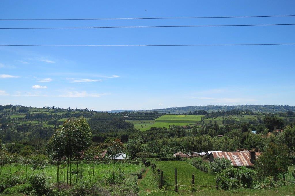 Keroka Landscape（自然景观 / 徒步）-非行家旅行-Africa Wild Wander