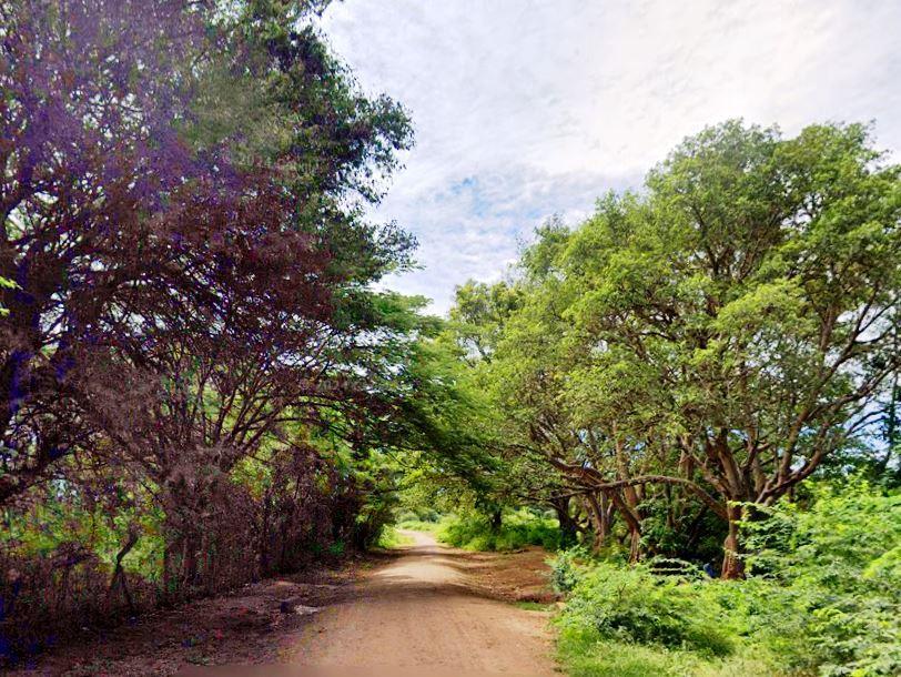 Njoro Springs（湖泊 / 泉水 / 湿地）-非行家旅行-Africa Wild Wander