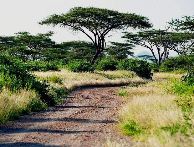 Buffalo Springs Reserve（水系 / 湖泊 / 海岸）-非行家旅行-Africa Wild Wander