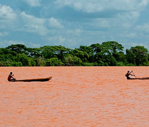 Lake Moa（水系 / 红树林）-非行家旅行-Africa Wild Wander