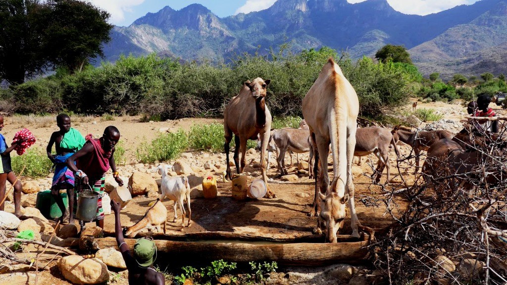 Singing Wells（歌唱井）-非行家旅行-Africa Wild Wander