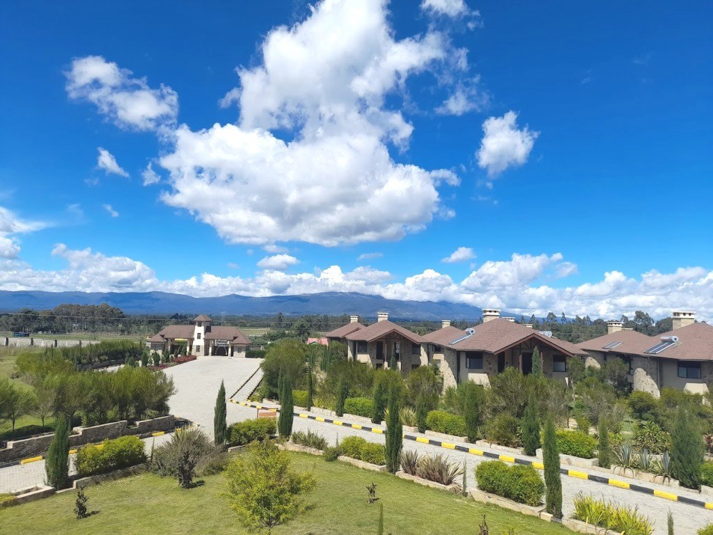 Elmer Resort & Spa(住宿休闲 / 艺术度假)-非行家旅行-Africa Wild Wander