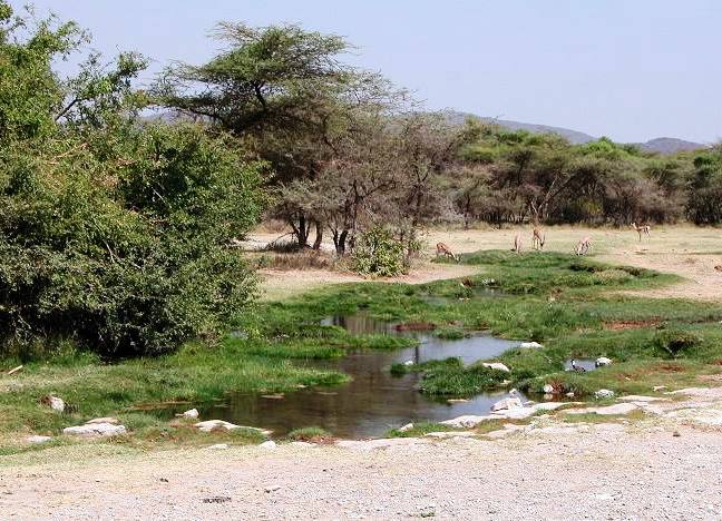 Buffalo Springs Reserve（水系 / 湖泊 / 海岸）-非行家旅行-Africa Wild Wander