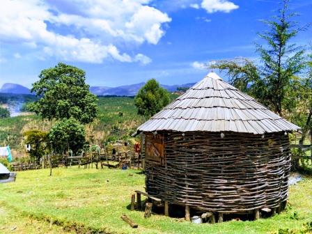 Kapcherop Forest（卡普切罗普森林）-非行家旅行-Africa Wild Wander