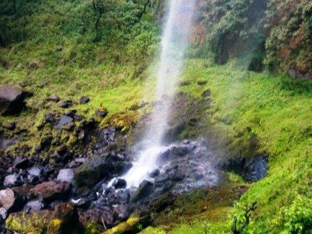 Wanjohi Falls（瀑布 / 森林水系）-非行家旅行-Africa Wild Wander