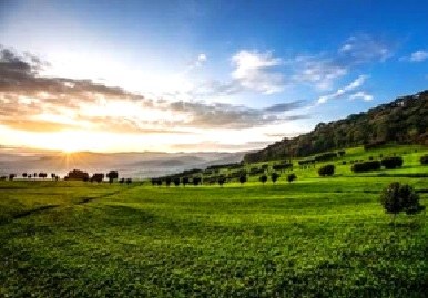 Tinderet Mountain（山地 / 洞穴）-非行家旅行-Africa Wild Wander