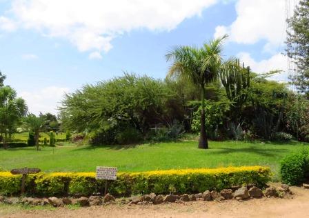 Thiiri Cultural Centre（Ameru 文化 / 遗产）-非行家旅行-Africa Wild Wander