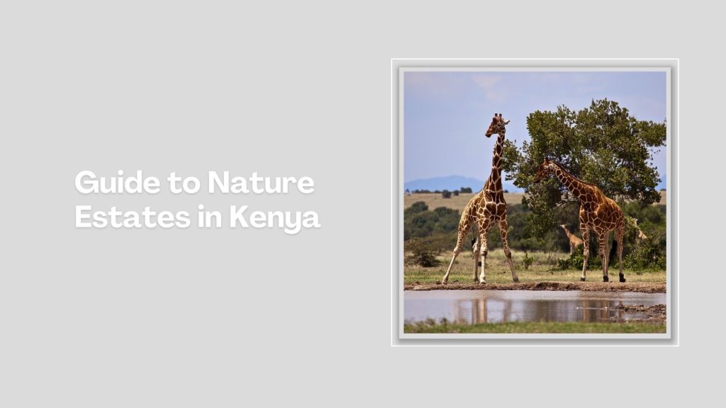 A Rocha Conservation（水系 / 湖泊 / 海岸）-非行家旅行-Africa Wild Wander