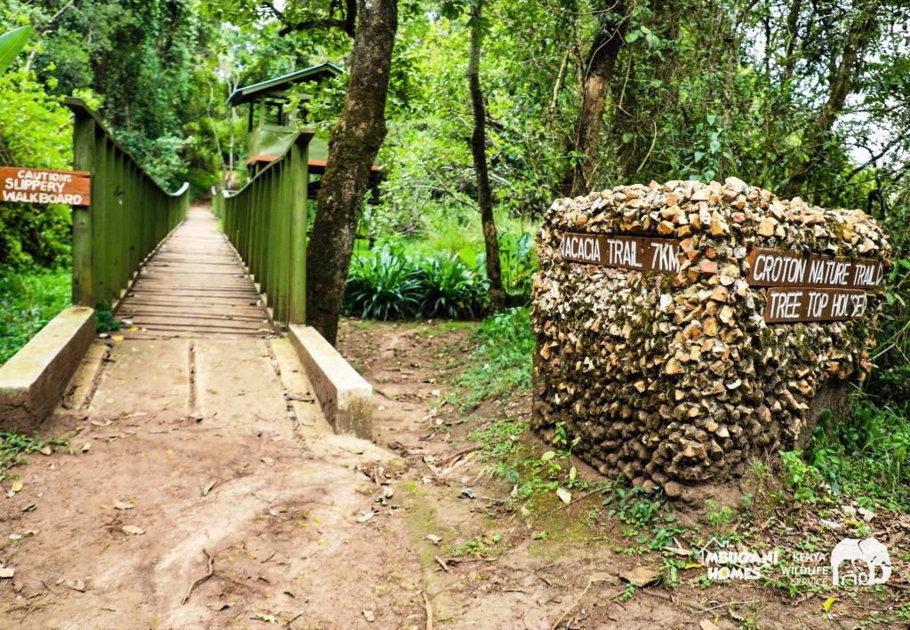 Tree Top Hut（树顶小屋）-非行家旅行-Africa Wild Wander