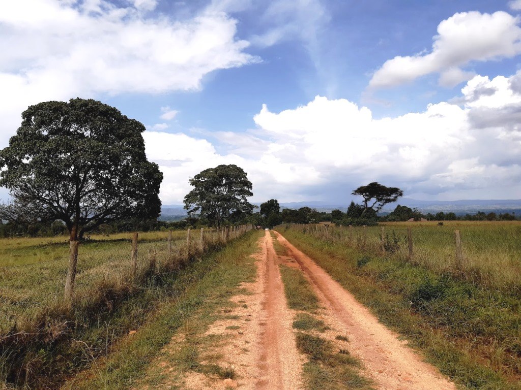 Cranes Haven（鹤之居营地）-非行家旅行-Africa Wild Wander