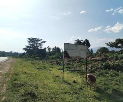 Kopere Rocks（山地 / 观景点）-非行家旅行-Africa Wild Wander