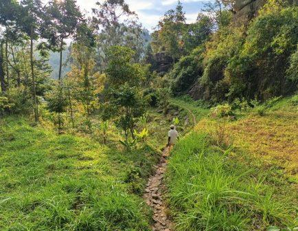 Kilangarenyi Falls（Taita Hills / 高地文化）-非行家旅行-Africa Wild Wander