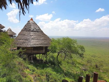 LUMO Wildlife Conservancy（LUMO 野生动物保护地）-非行家旅行-Africa Wild Wander