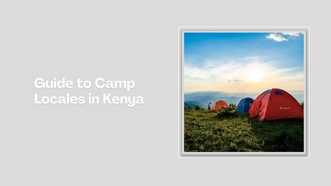 Robert's Camp-非行家旅行-Africa Wild Wander