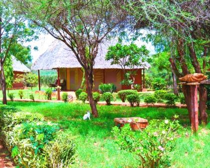 Lake Jipe Eco Lodge（湖泊 / 泉水 / 湿地）-非行家旅行-Africa Wild Wander