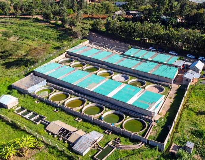 Kamuthanga Fish Farm（县域目的地）-非行家旅行-Africa Wild Wander