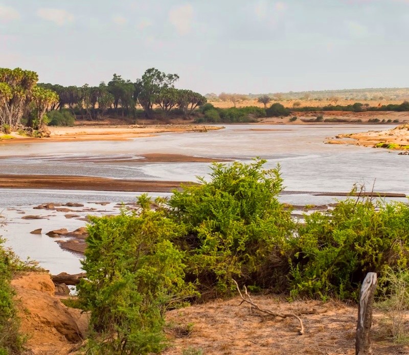 Kanderi Swamp(湖泊 / 泉水 / 湿地)-非行家旅行-Africa Wild Wander