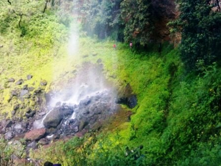 Wanjohi Falls（瀑布 / 森林水系）-非行家旅行-Africa Wild Wander