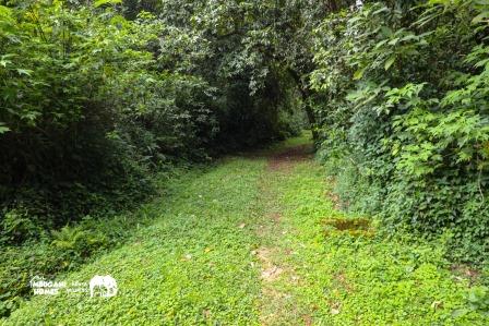 Udo Bandas(乌多营地小屋)-非行家旅行-Africa Wild Wander