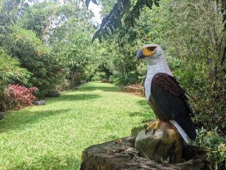 Shilahi Wellness Garden（希拉希康养花园）-非行家旅行-Africa Wild Wander
