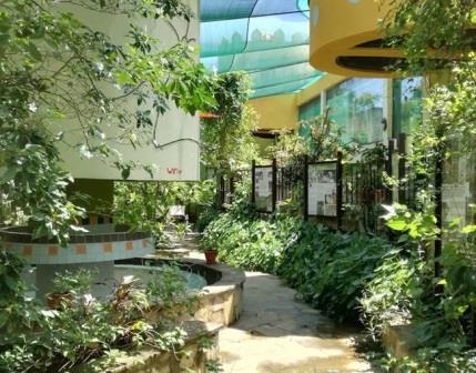 Mombasa Butterfly House（生态公园 / 海洋保护）-非行家旅行-Africa Wild Wander