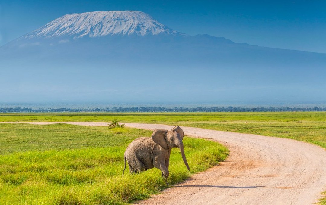 About East Africa（县域概览）-非行家旅行-Africa Wild Wander