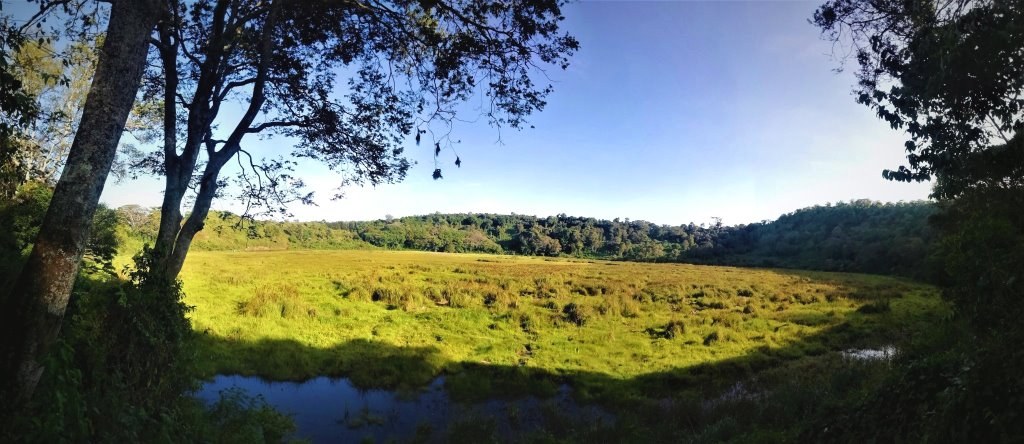 Lake Nkunga（地貌 / 瀑布 / 泉水）-非行家旅行-Africa Wild Wander