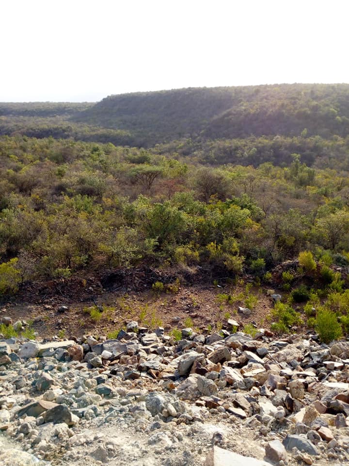 Kolloa Monument(历史遗产 / 博物馆)-非行家旅行-Africa Wild Wander