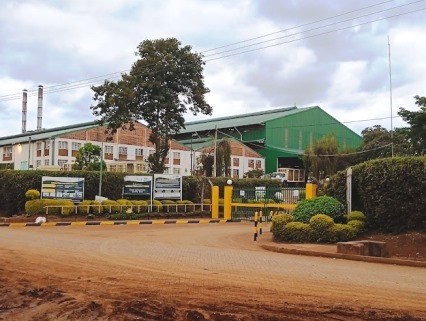 Weru Tea Factory（韦鲁茶厂）-非行家旅行-Africa Wild Wander