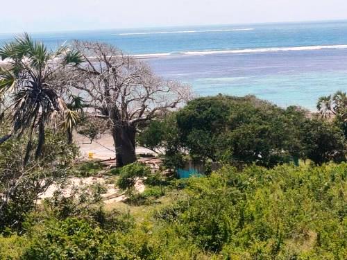 Munje Beach（海滩 / 岛屿）-非行家旅行-Africa Wild Wander