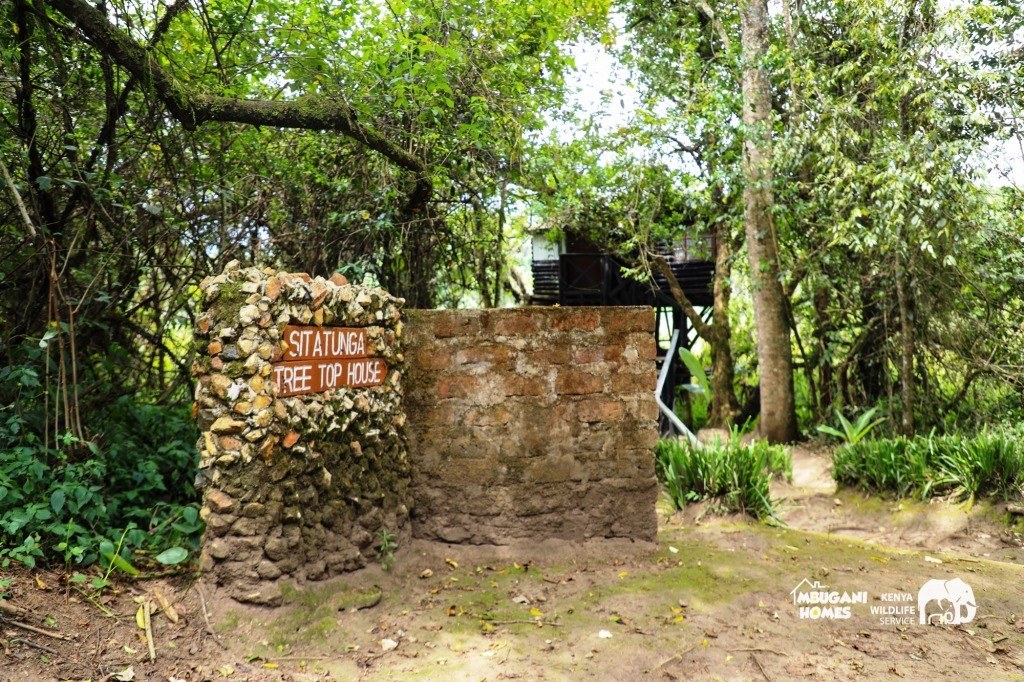 Tree Top Hut（树顶小屋）-非行家旅行-Africa Wild Wander