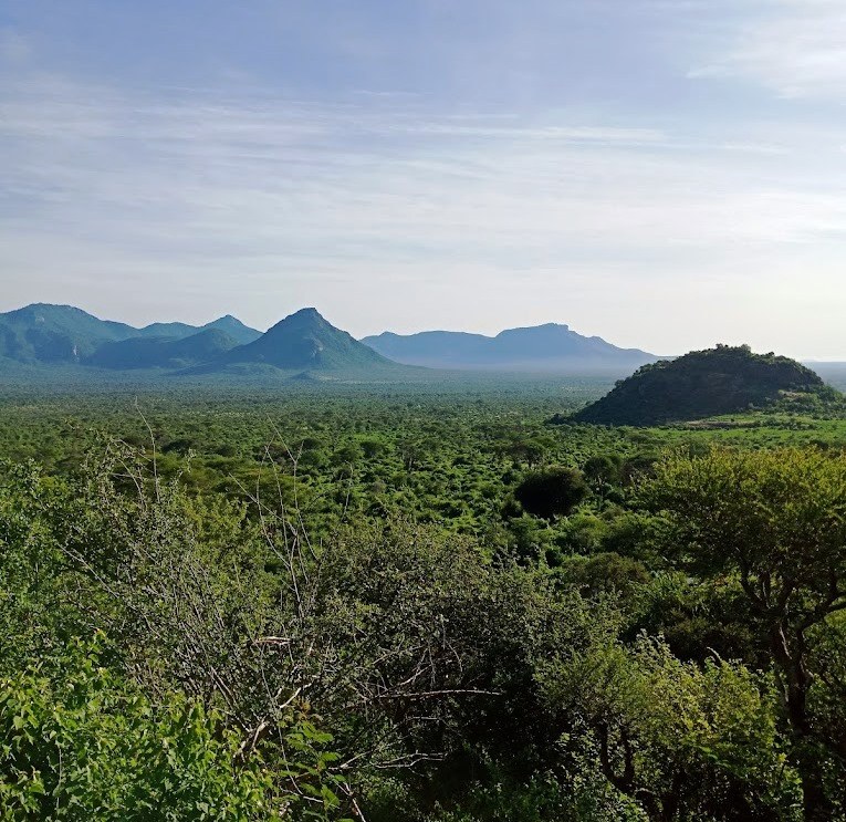 Sarara Camp（住宿 / Safari 营地）-非行家旅行-Africa Wild Wander