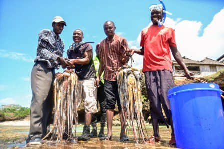 Munje Octopus Closure（海洋保护 / 海岛体验）-非行家旅行-Africa Wild Wander
