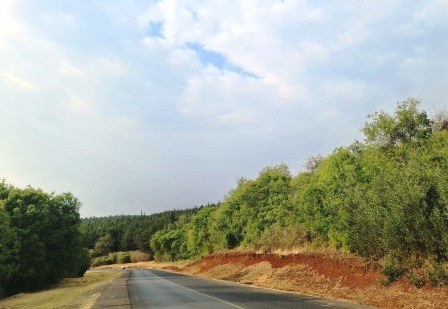 Dundori Forest（森林 / 水源地）-非行家旅行-Africa Wild Wander