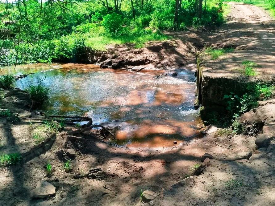 Kirisia Forest（山地 / 高原 / 荒漠地貌）-非行家旅行-Africa Wild Wander