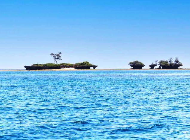 Kisite-Mpunguti Marine Park & Reserve（基西特-姆蓬古蒂海洋公园与保护区）-非行家旅行-Africa Wild Wander
