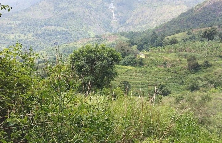 Chemase Falls(瀑布)-非行家旅行-Africa Wild Wander