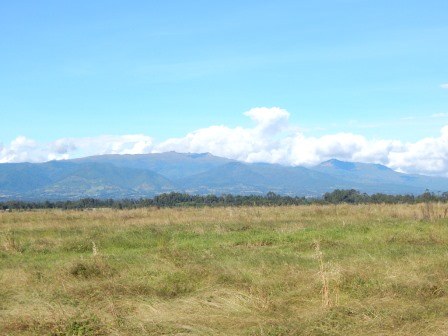Kinangop Plateau（金南戈普高原）-非行家旅行-Africa Wild Wander