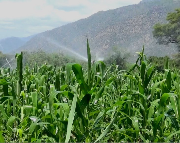 Weiwei Irrigation Scheme（水系 / 湖泊 / 海岸）-非行家旅行-Africa Wild Wander
