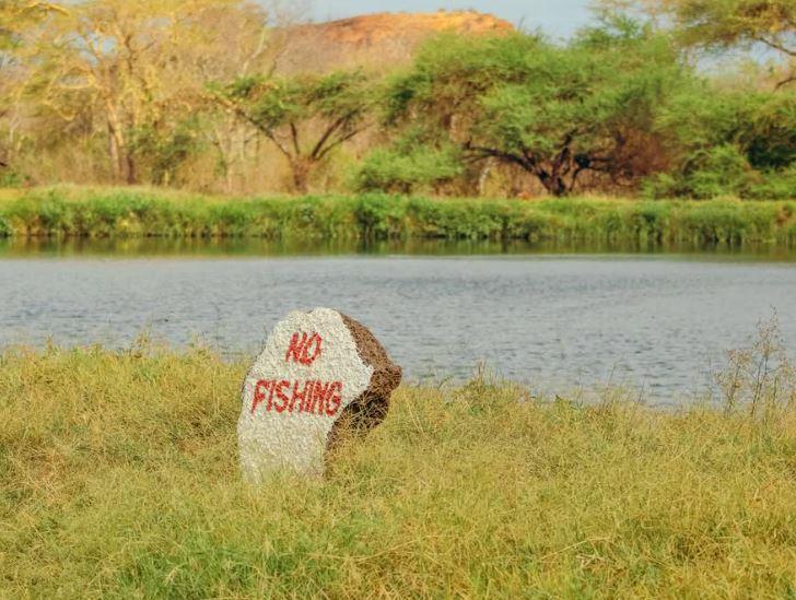 Kivungoni Springs（Kibwezi / Umani / Safari）-非行家旅行-Africa Wild Wander