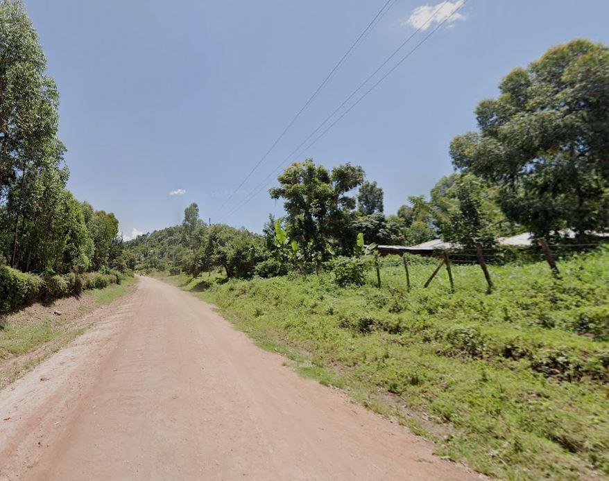 Nyaandui Forest（尼安杜伊森林）-非行家旅行-Africa Wild Wander