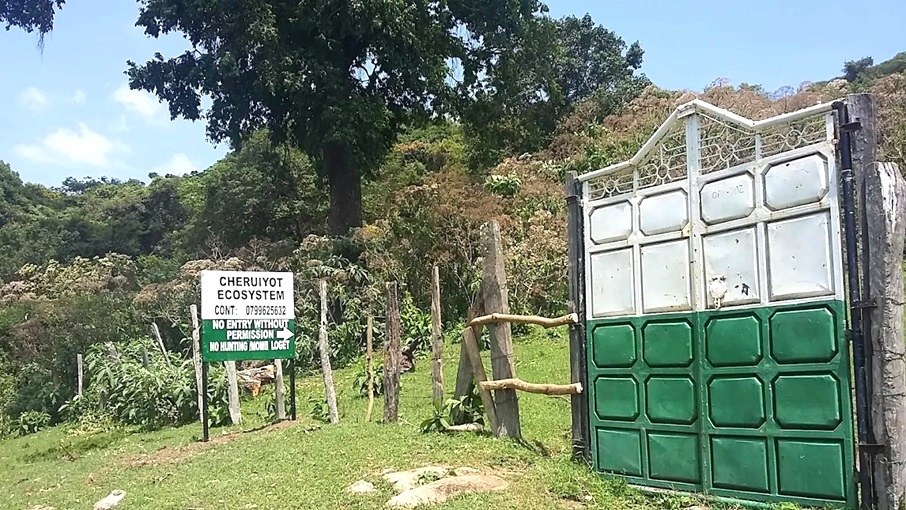 Cheruiyot Ecosystem（县域目的地）-非行家旅行-Africa Wild Wander