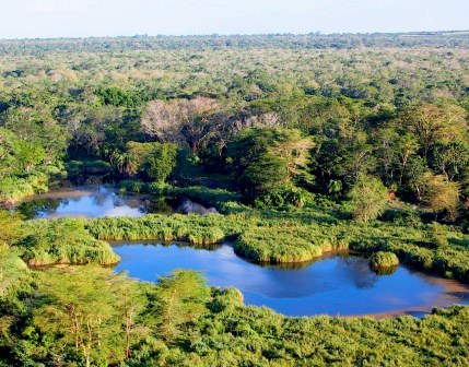 Kibwezi Forest（基布韦齐森林）-非行家旅行-Africa Wild Wander