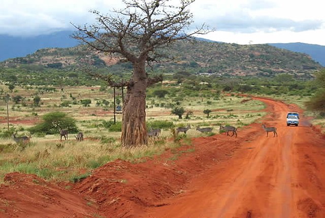 Kora National Park, Tana Primate National Reserve, Tsavo East & Tsavo West National Parks, Mutejwa National Reserve（水系 / 湖泊 / 海岸）-非行家旅行-Africa Wild Wander